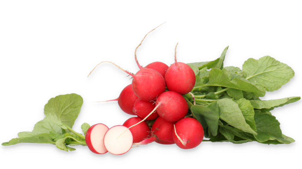 Миллом F1 семена редиса (Rijk Zwaan / Райк Цваан)