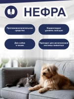 НЕФРА для кошек