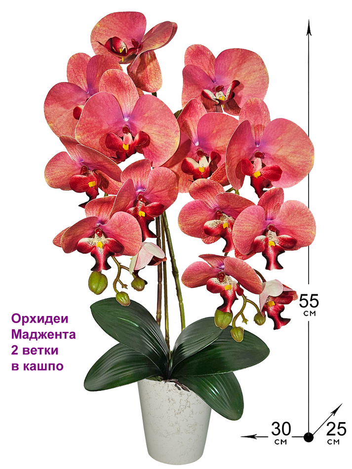 Искусственные цветы Орхидеи Маджента 2 ветки в кашпо, 55см