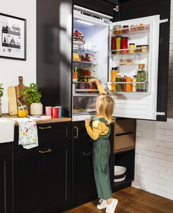 Встраиваемый холодильник Hansa BK315.3