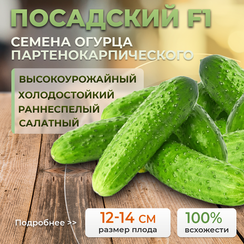 ПОСАДСКИЙ F1 семена огурца (Enza Zaden | Alexagro)