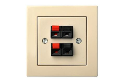 Аудио розетка Двухместная Бежевая LIREGUS EPSILON