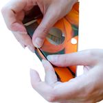 LFR0GYF Клеевая ловушка для мух «Уголок», 2 шт. Nadzor