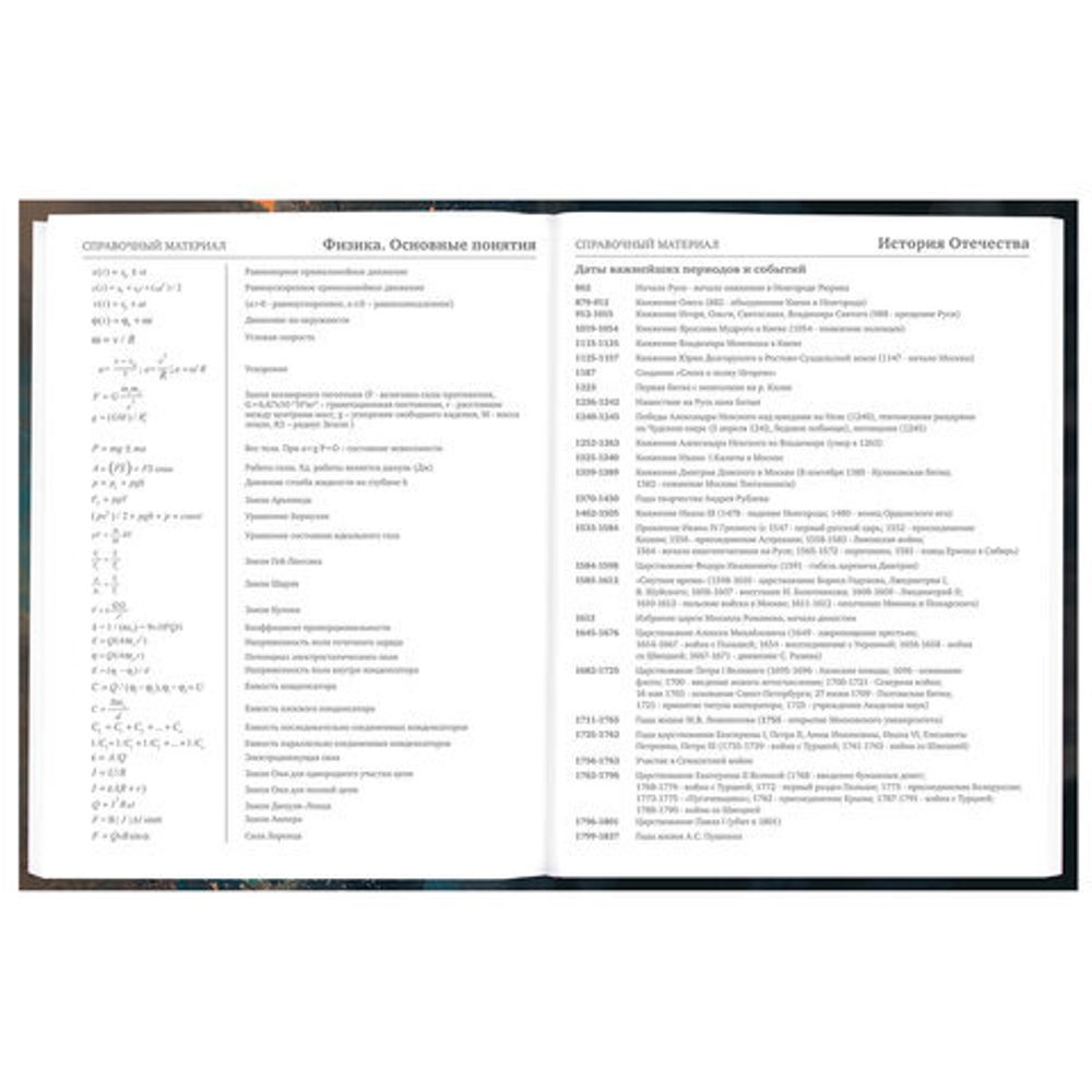 Дневник 5-11 класс 48 л., гибкая обложка, BRAUBERG, глянцевая ламинация, с подсказом, "Cat", 107181