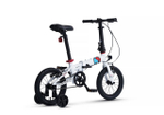 Maxiscoo "S007" PRO 14'' (2024)