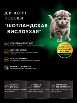 Корм для породы Шотландская вислоухая, с ягненком, 2 кг
