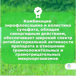 Энронит OR (NITA-FARM) комплексный оральный препарат от колибактериоза у птиц и свиней, 100 мл. Энрофлоксацин.