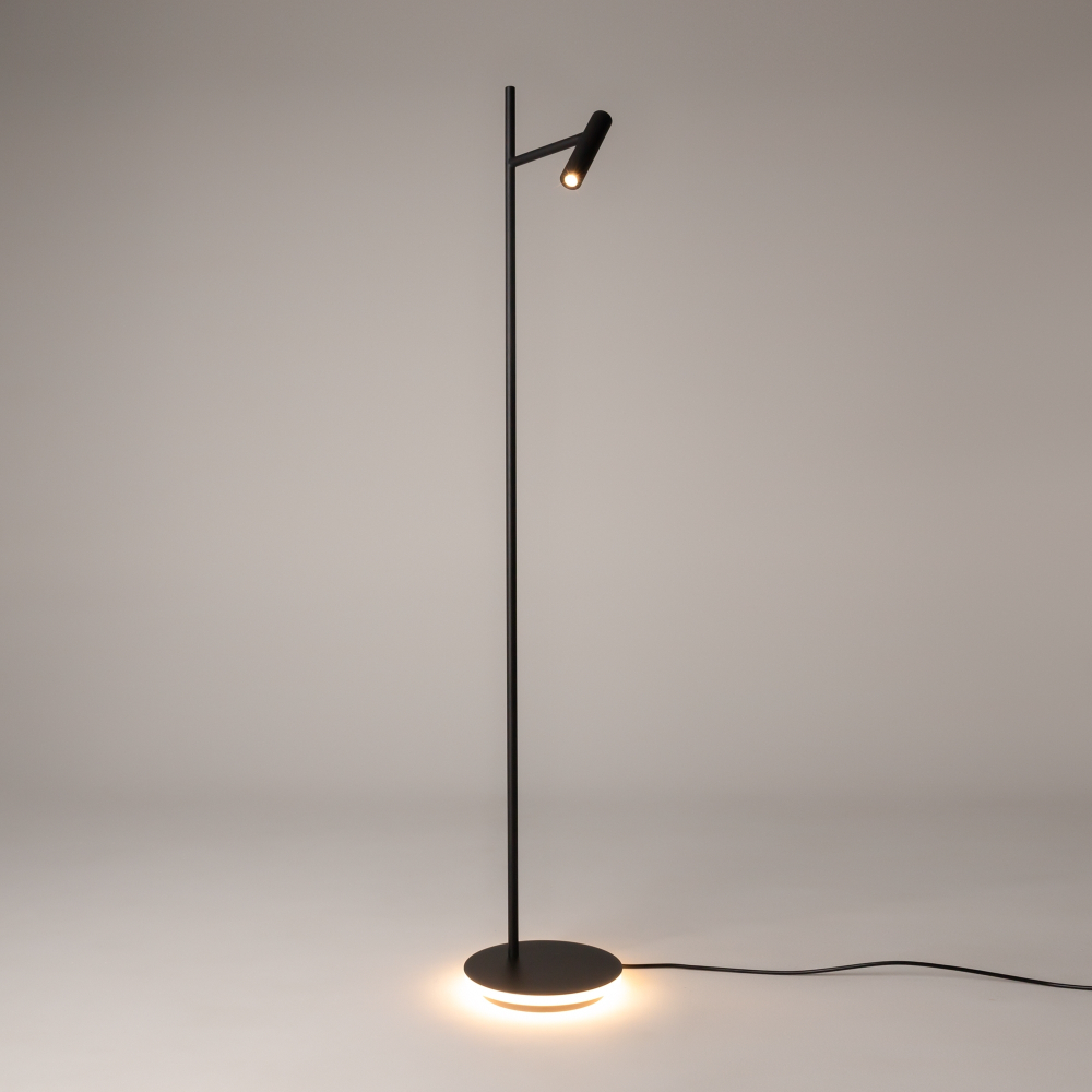 Напольный светильник (торшер) Maytoni Z010FL-L8B3K