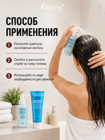 ESTHETIC HOUSE Набор Шампунь для волос CP-1 Cool Mint и Спрей для кожи головы CP-1 Scalp Tincture, 2х100мл
