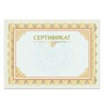 Сертификат А4, горизонтальный бланк №2, мелованный картон, конгрев, тиснение фольгой, BRAUBERG, 128375