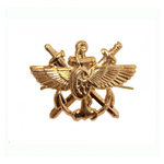 Эмблема петличная ВОСО н/о золотая