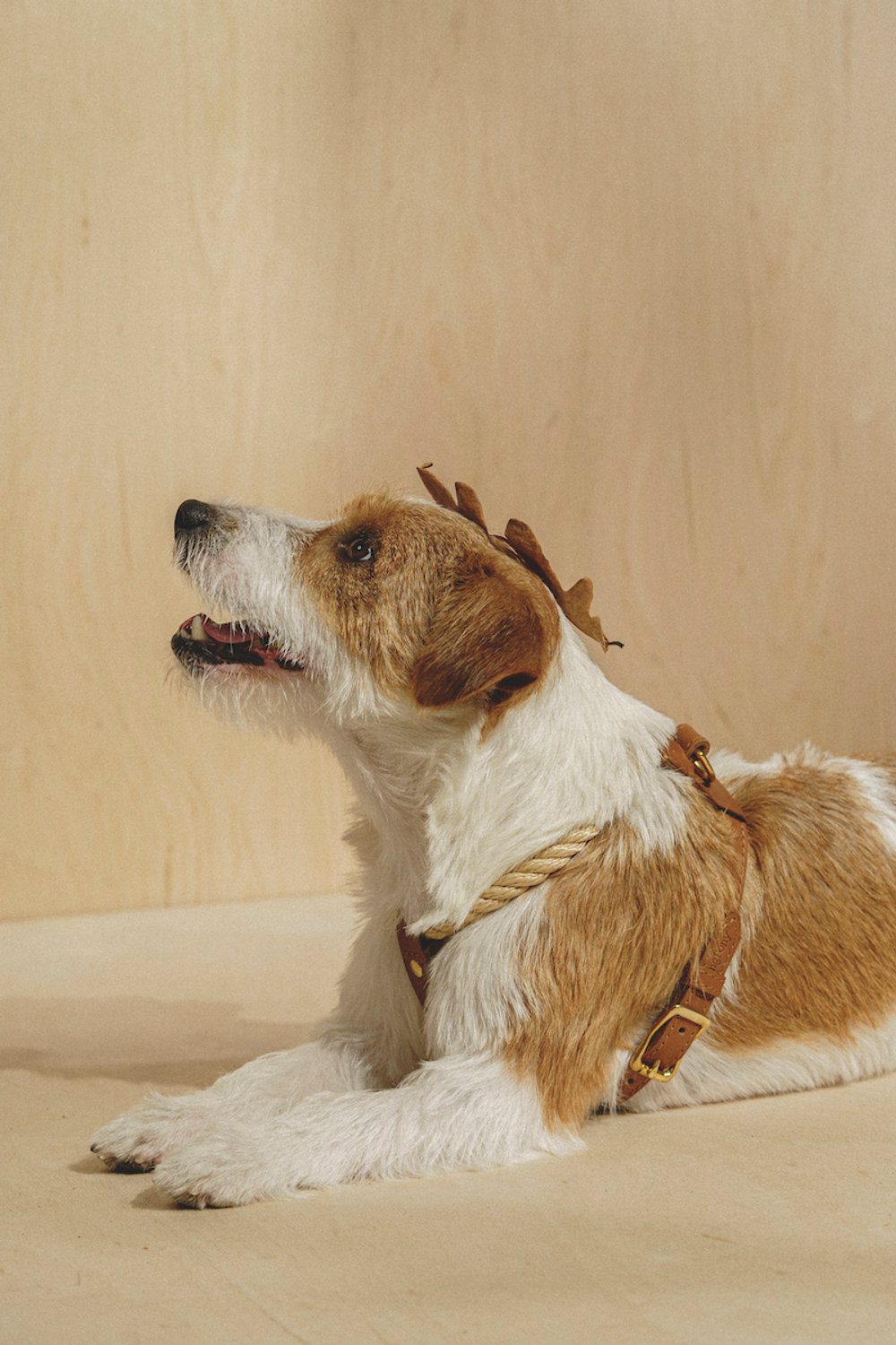 Шлейка "Кантри-пони" Рыжий