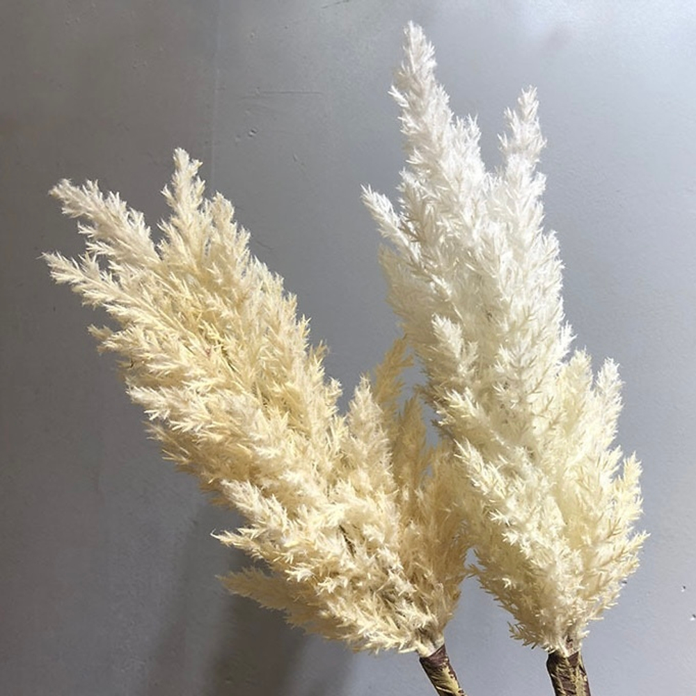 Пампасная трава 90 см, белая