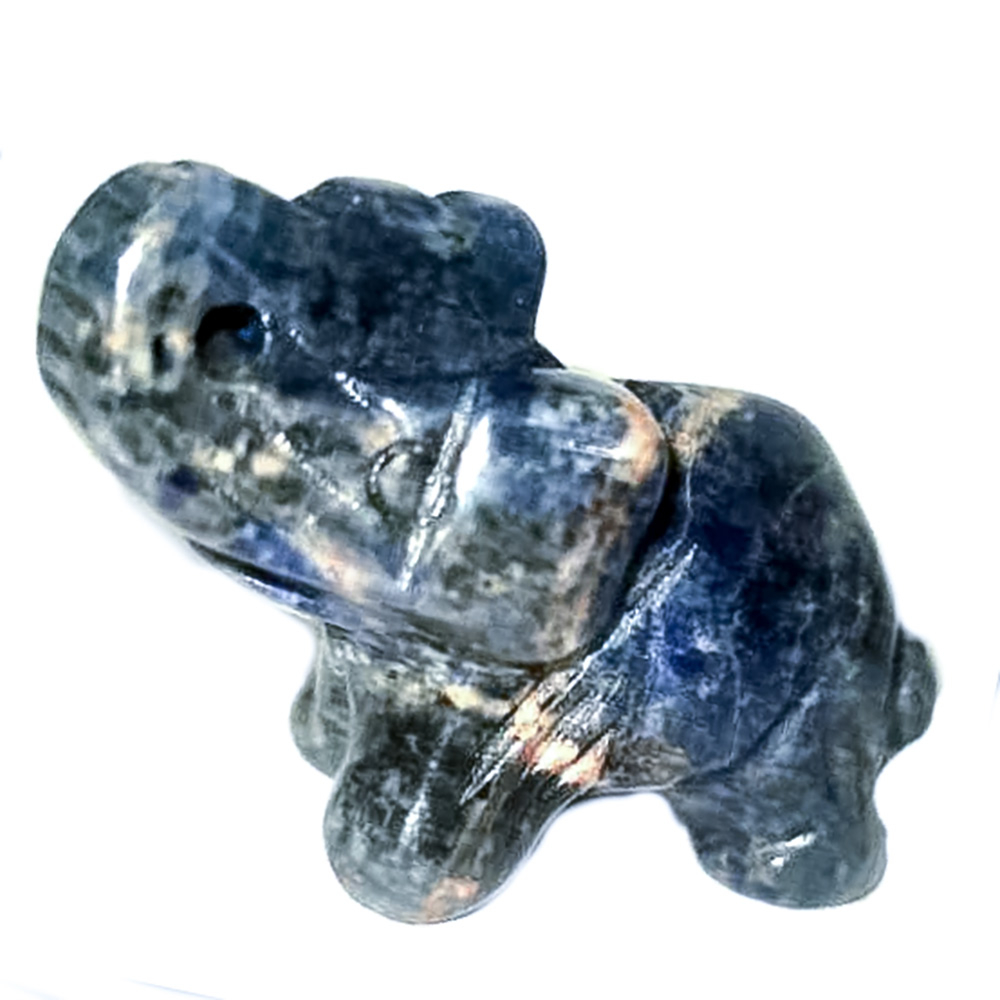 Слон содалит асс.