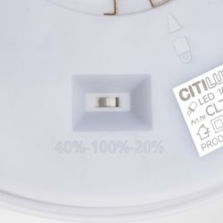 Citilux ETALON CL750240 LED Светильник с подсветкой Белый+Бук