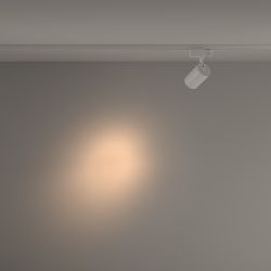 Трековый магнитный трехфазный светодиодный светильник Maytoni Trinity   TR029-3-10W3K-S-W