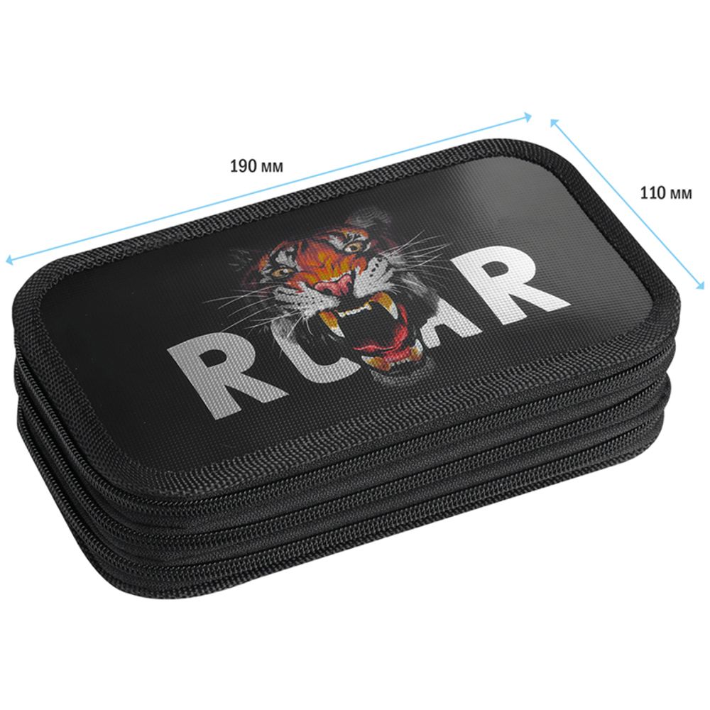 Пенал 3 отделения, 190*110 ArtSpace "Roar", ламинация, фольга