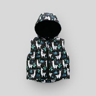 Жилет (ламы)