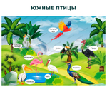 Комплект развивающий Природа: Южные птицы 2192