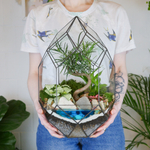 Готовый флорариум бонсай Подокарпус Цефей с озером