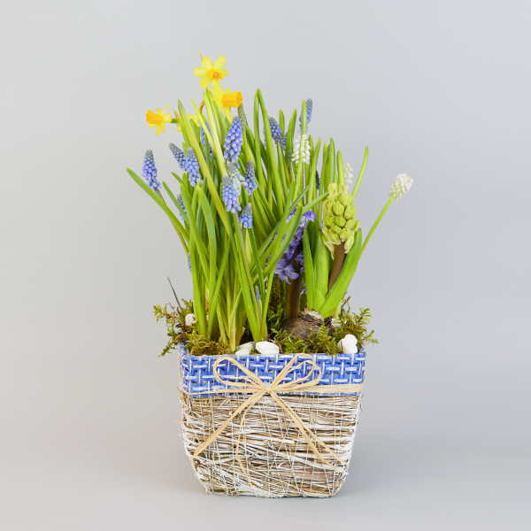 Композиция с первоцветами в синей корзине