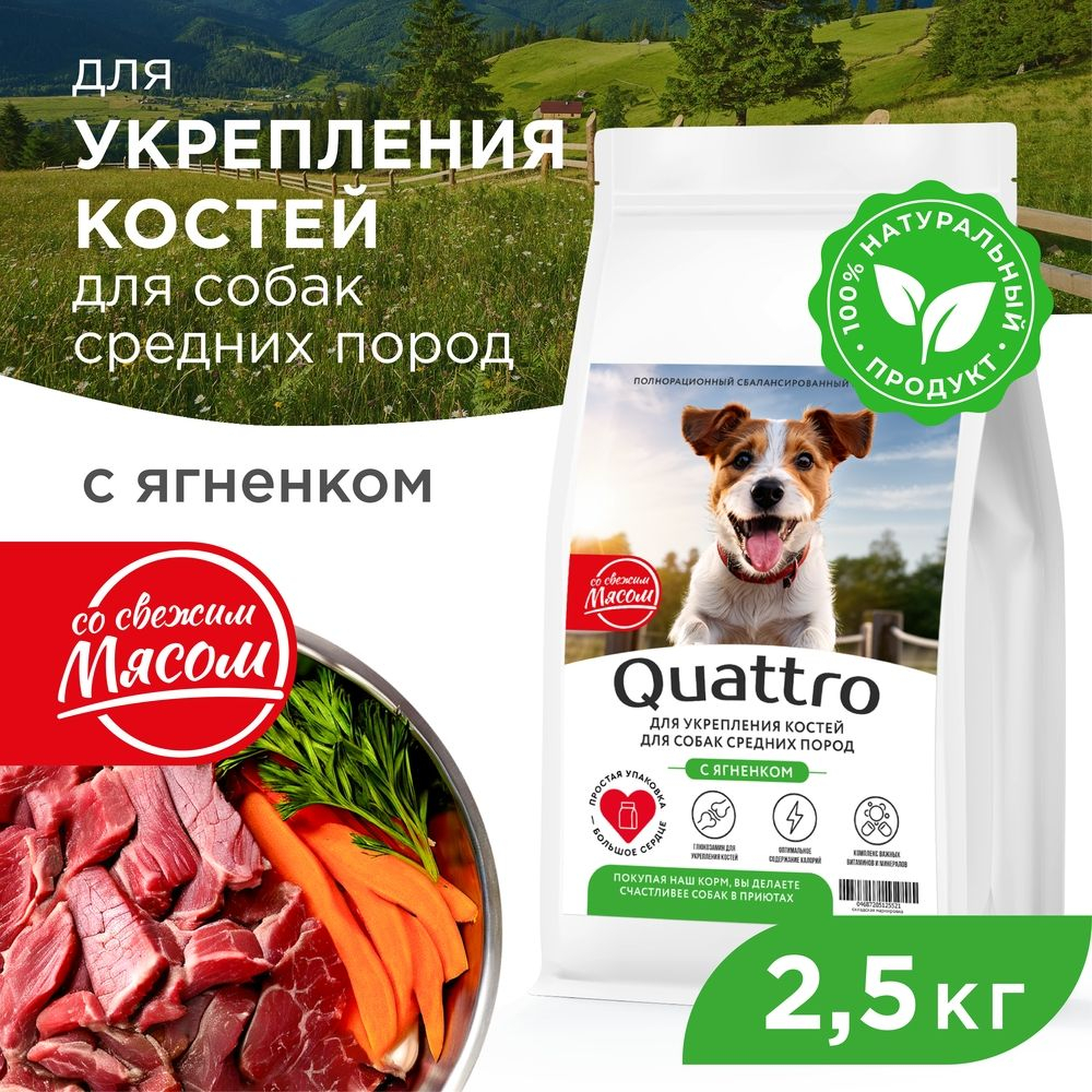 Корм сухой для собак средних пород, премиум полнорационный комплекс, укрепление костей, с ягненком, 2,5 кг, QUATTRO
