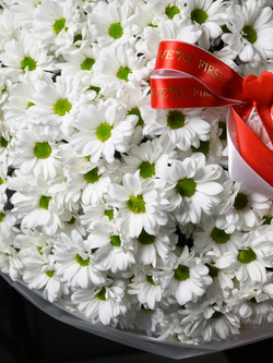 Моя Любовь 25 *