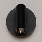 Настенный светильник (бра) Maytoni C079WL-L3B3K