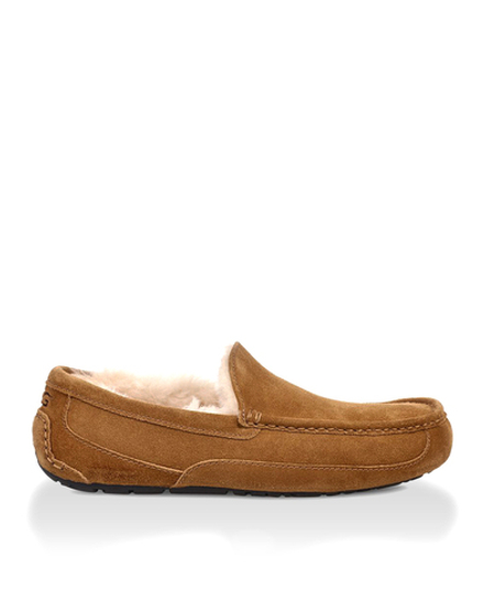 ASCOT MENS chestnut