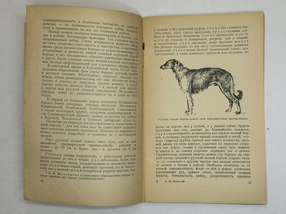 Казанский В. И. Охота с борзой . Москва, изд. Физкультура и спорт. 1957 г.