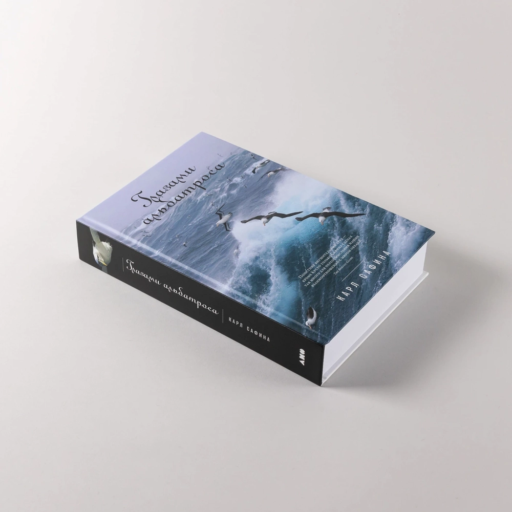 Глазами альбатроса