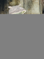 Комбинезон-трансформер (2в1) Модель: 025 "Princess" (ИП Петрова Г.Г.) (Цвет: Светло-розовый, Размер: 74-80)