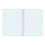 Тетрадь А5 48л. BRAUBERG скоба, клетка, обложка картон, "Anime Girls", 404367, 5шт