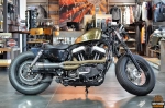 Harley-Davidson Forty-Eight (2013)