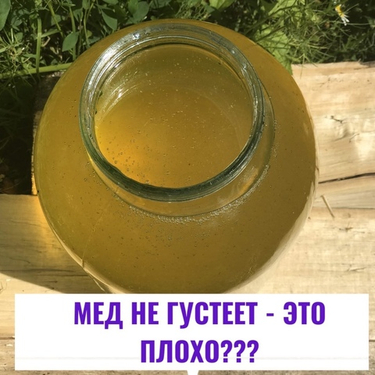 МЁД НЕ ГУСТЕЕТ – ЭТО ПЛОХО?