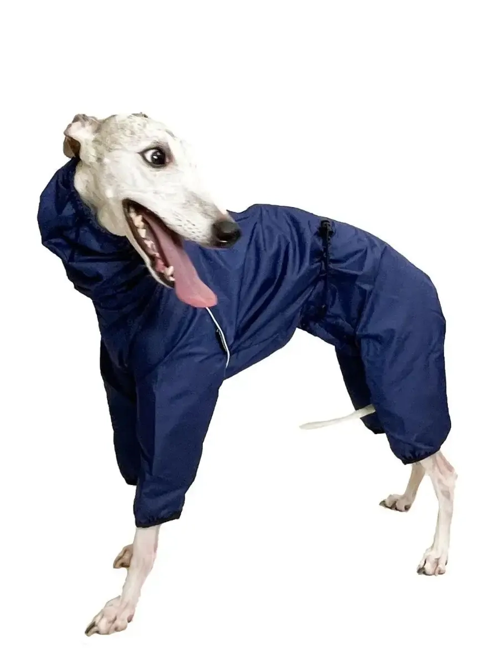 Дождевик для собак средних и крупных пород