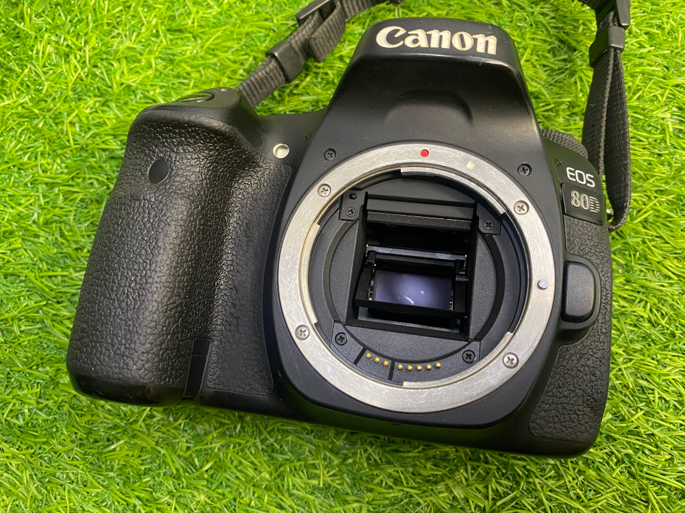 Canon 80D (44.000 кадров)