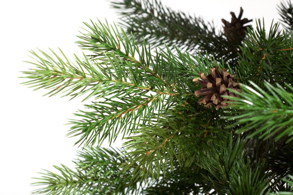 Ель искусственная «Камчатская с шишками» (Литая хвоя) 210 см / 2,1 м