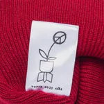 Шапка ННХ Эверест Красный