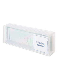 Набор микропрепаратов Levenhuk Discovery Prof DPS 5. «Жизнь в капле воды»