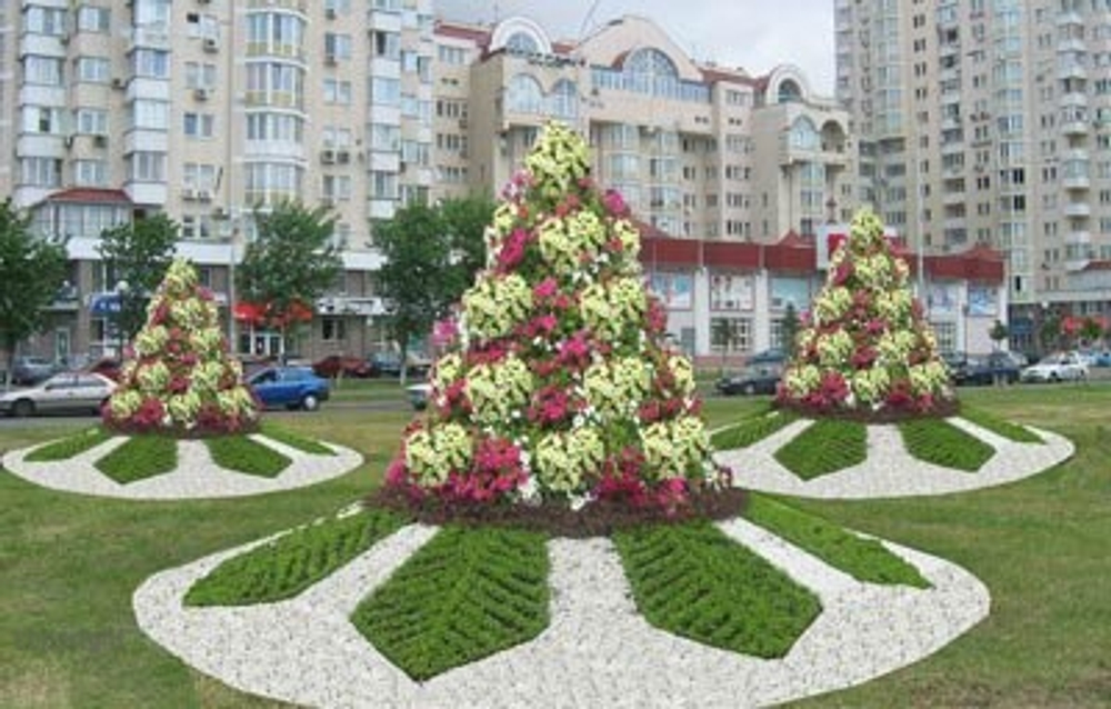 Цветочница Елочка большая