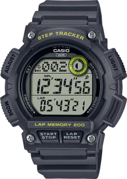 Часы Casio WS-2100H-8A