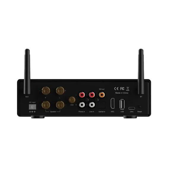 Arylic B50