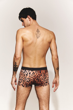 Трусы боксеры