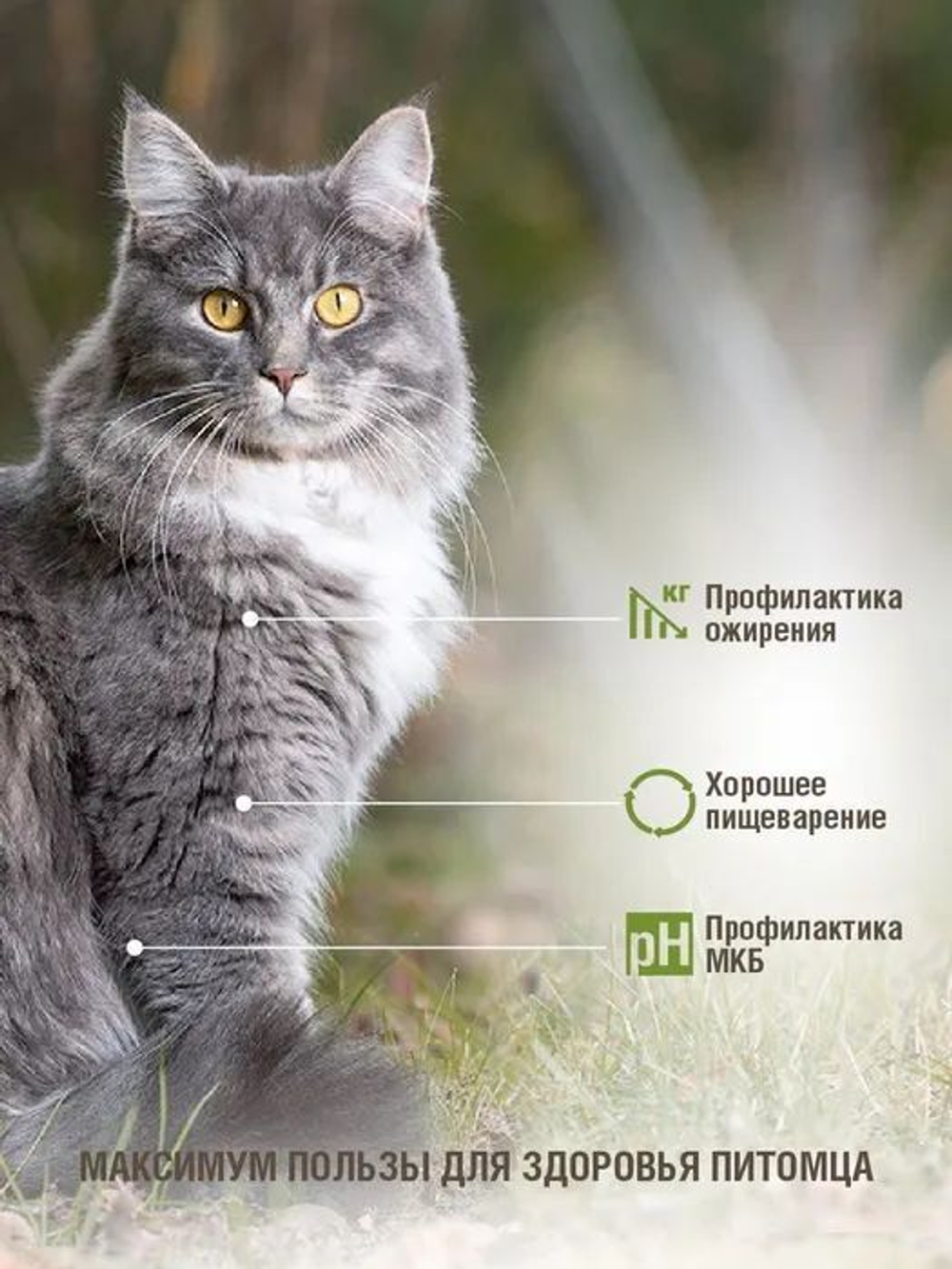 Корм для кошек сухой DARSI Sterilised, для взрослых стерилизованных кошек, с курицей, 10 кг