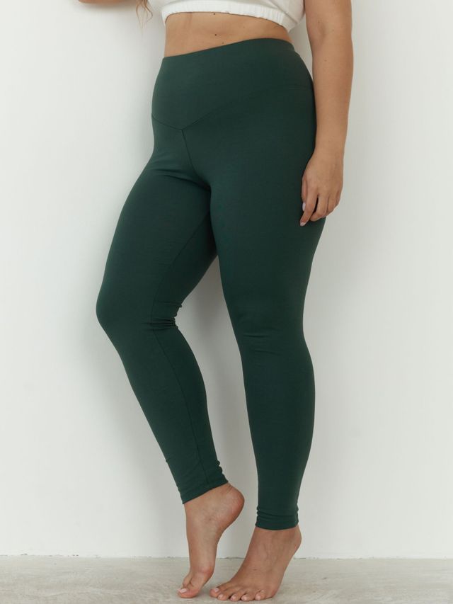 Лосины Пихта