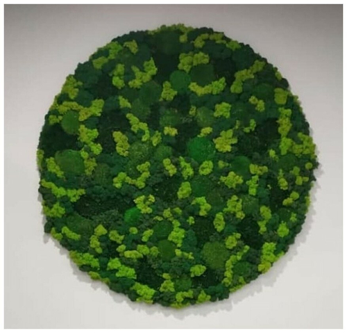 Круглое панно из стабилизированного мха, диаметр 60см