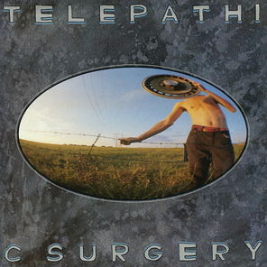 The Flaming Lips / Telepathic Surgery (LP)