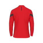 Джемпер тренировочный Evolution 24 Drill Top — Academy red/anthracite