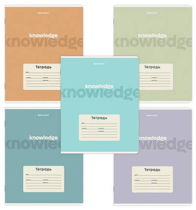 Тетрадь А5 24л. клетка "Knowledge" обложка картон, 5 видов (BRAUBERG)